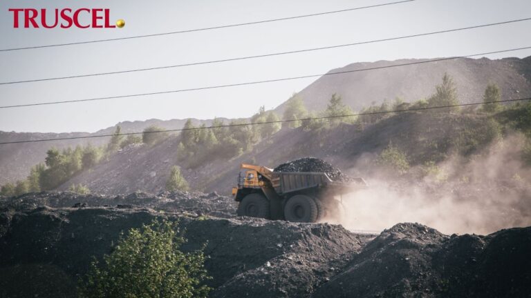 coal price assumption